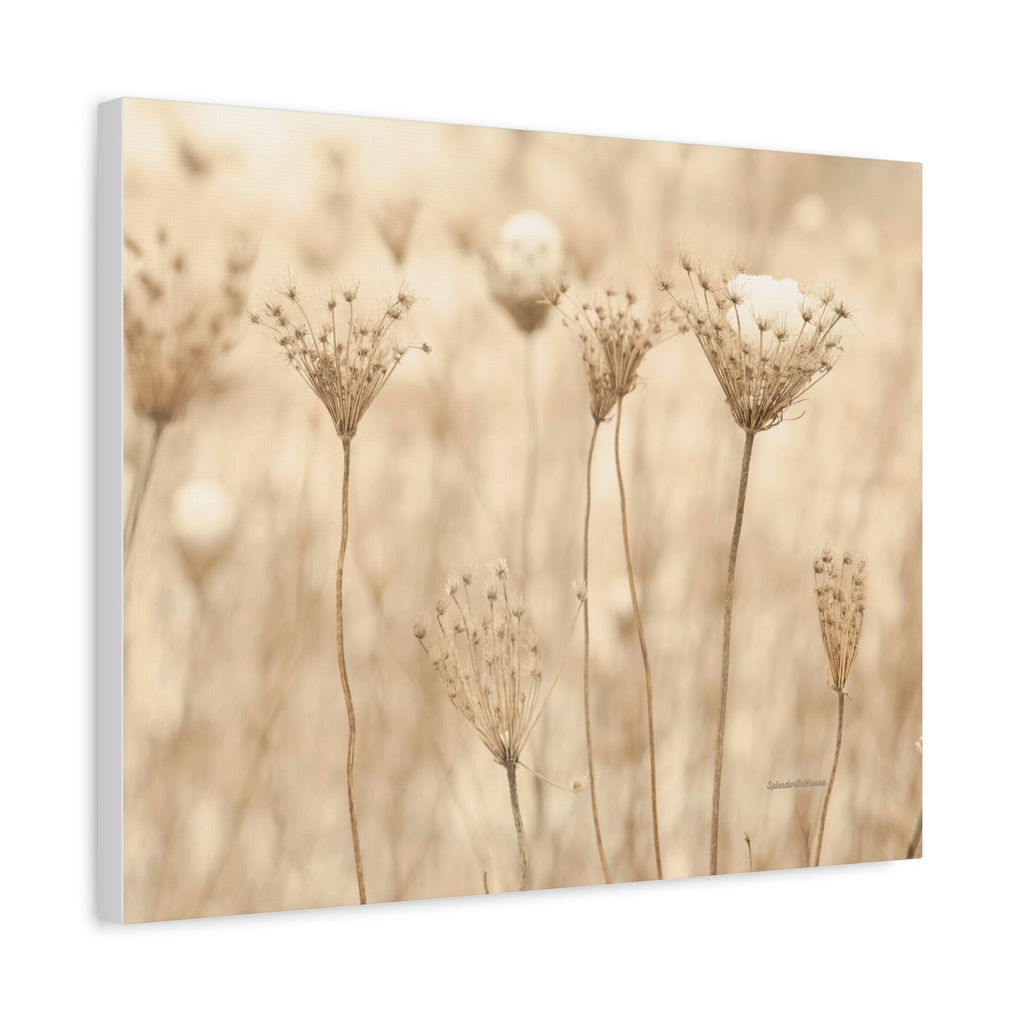 Floral, Matte Canvas, Stretched, 1.25"