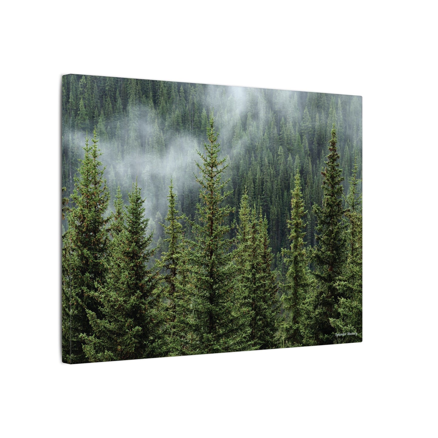 Trees, Matte Canvas, Stretched, 0.75"