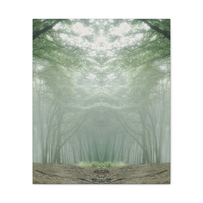Forest, Matte Canvas, Stretched, 1.25"