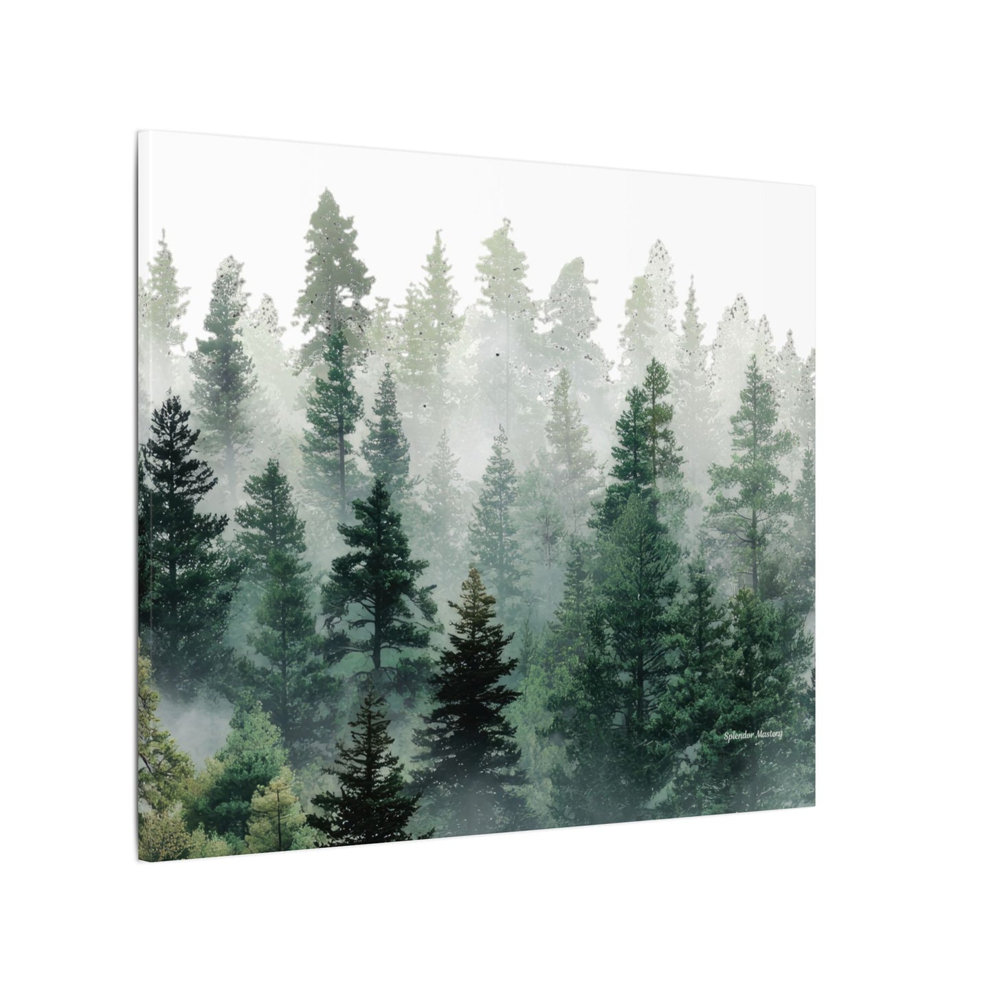 Forest Trees, Matte Canvas, Stretched, 0.75"