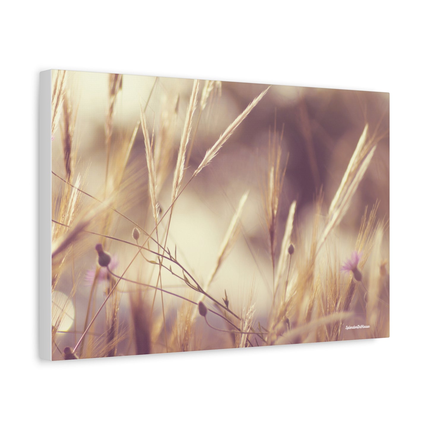 Grass, Matte Canvas, Stretched, 1.25"