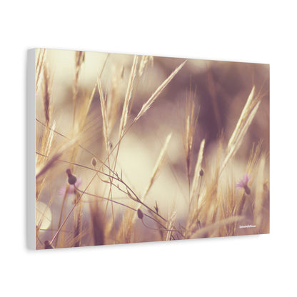 Grass, Matte Canvas, Stretched, 1.25"