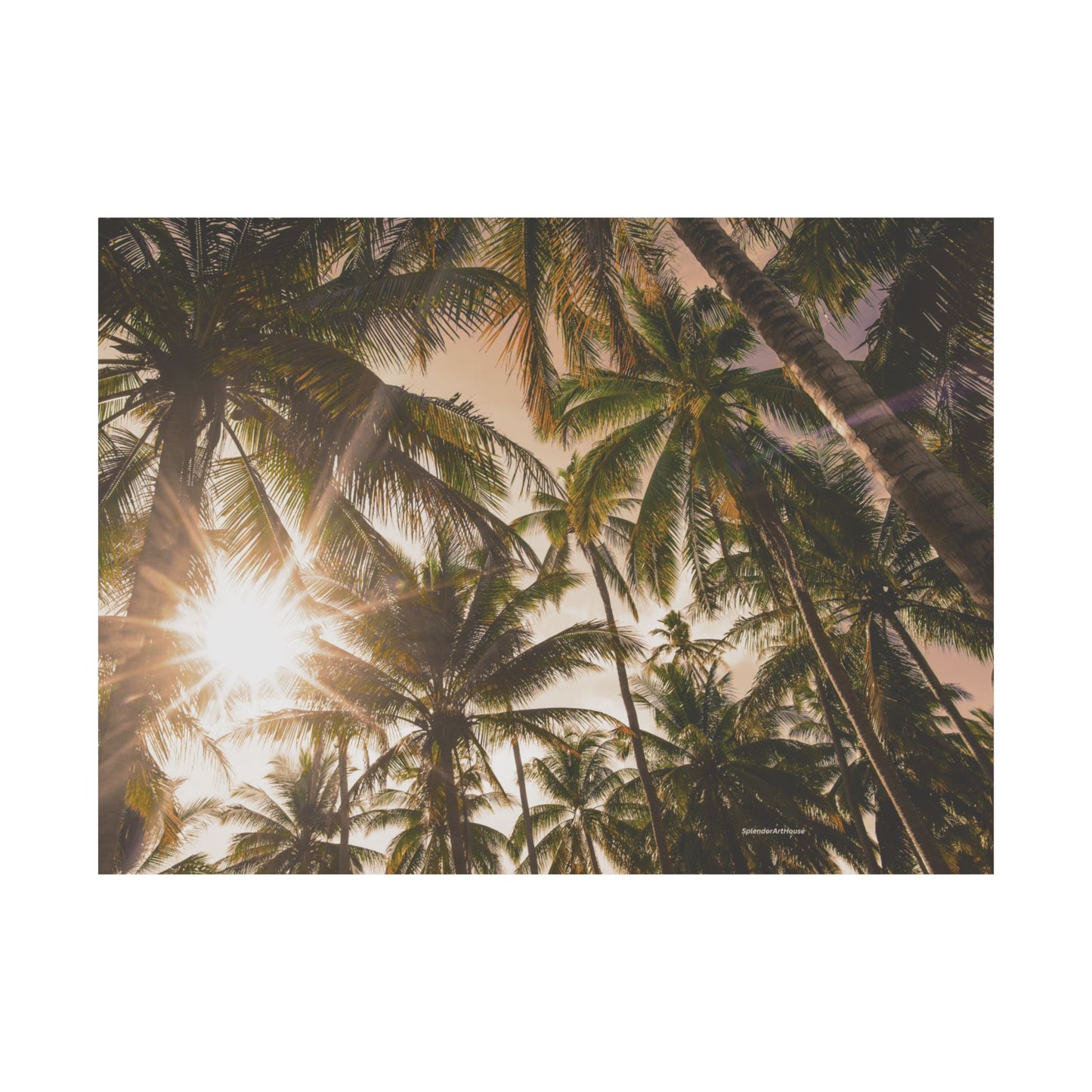 Palm Trees, Matte Horizontal Poster