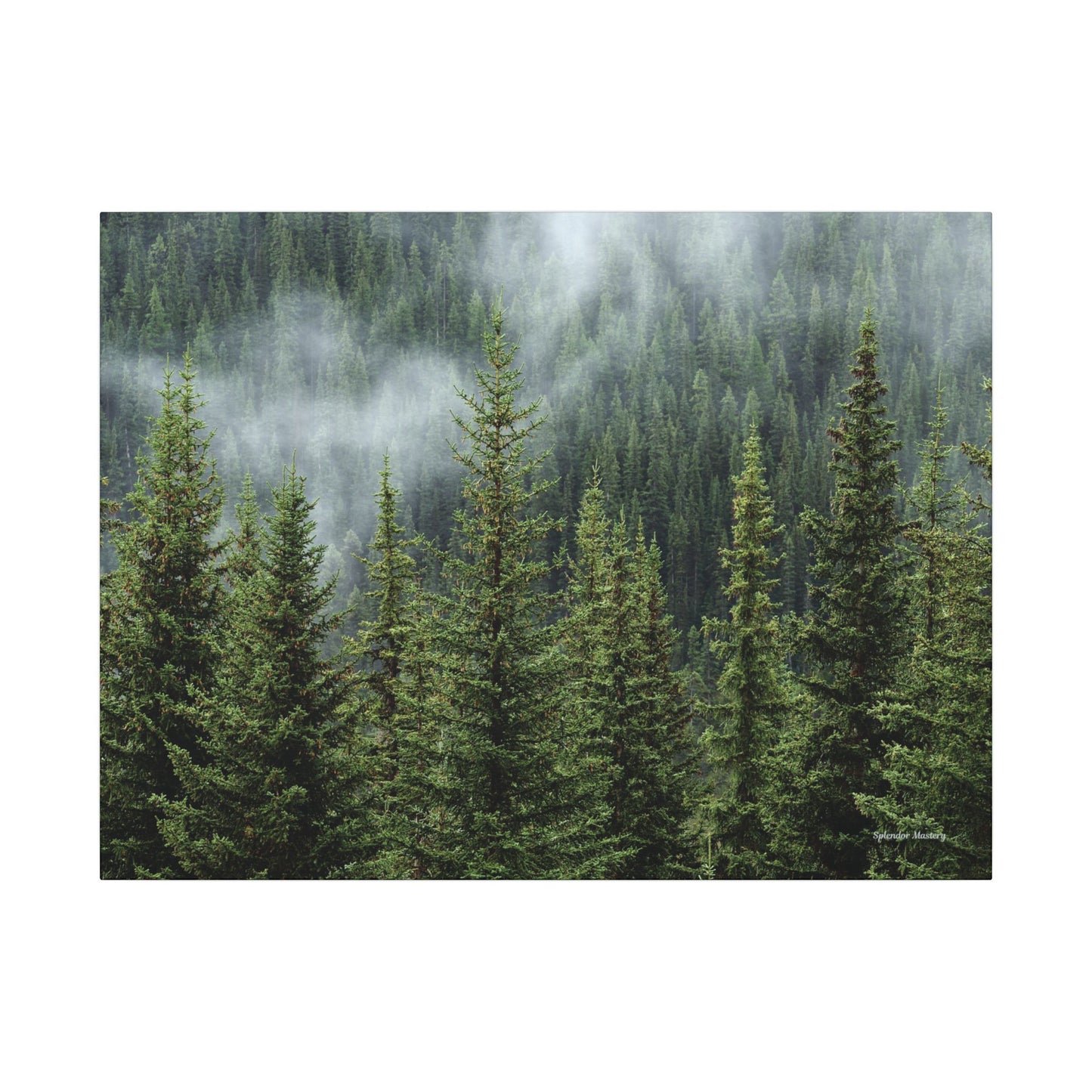 Trees, Matte Canvas, Stretched, 0.75"