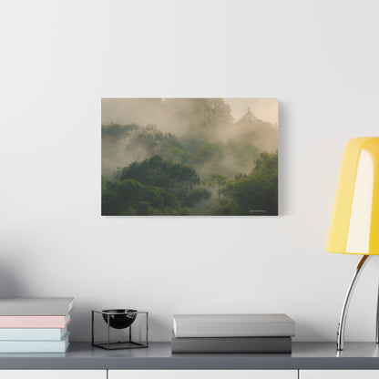 Forest, Matte Canvas, Stretched, 1.25"