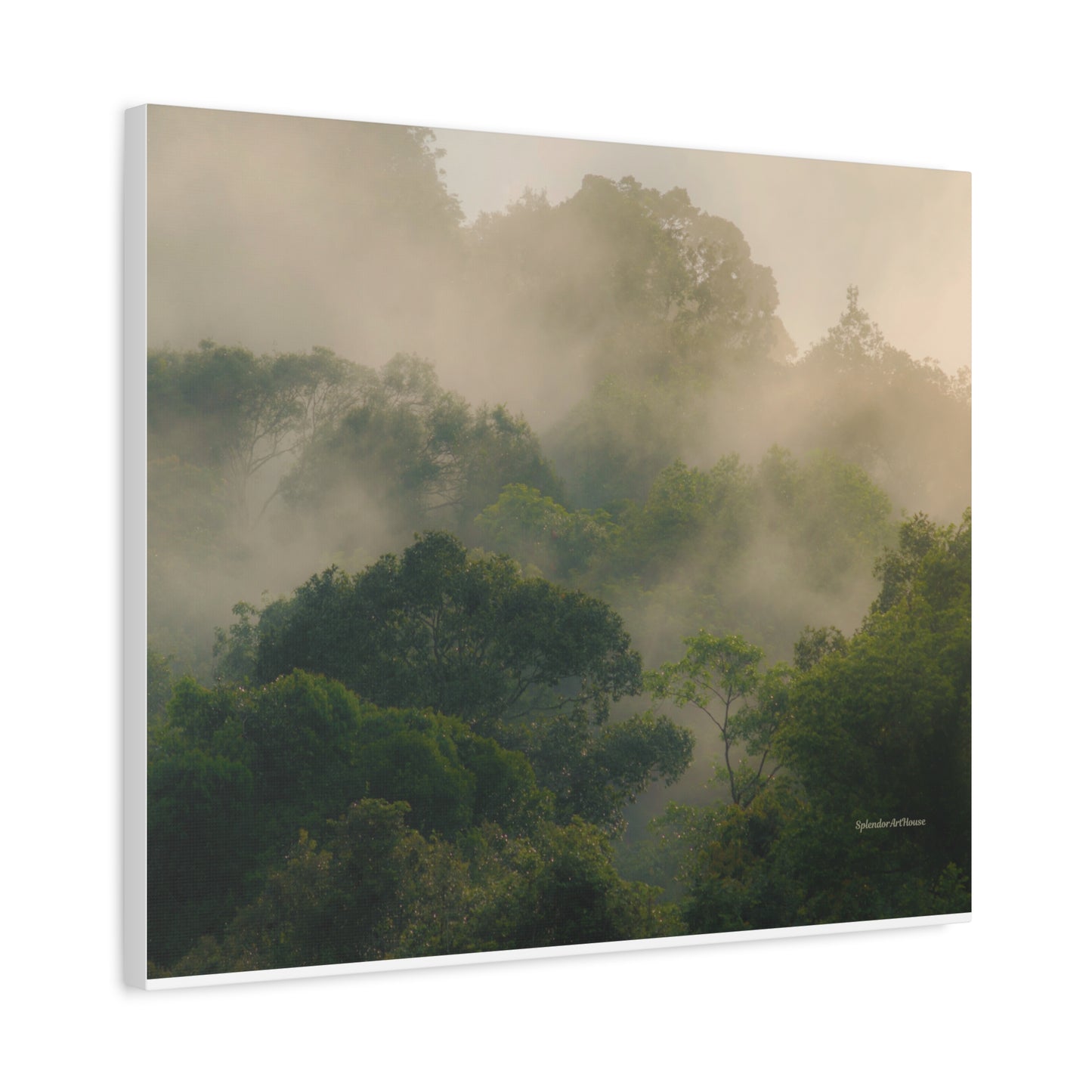 Forest, Matte Canvas, Stretched, 1.25"