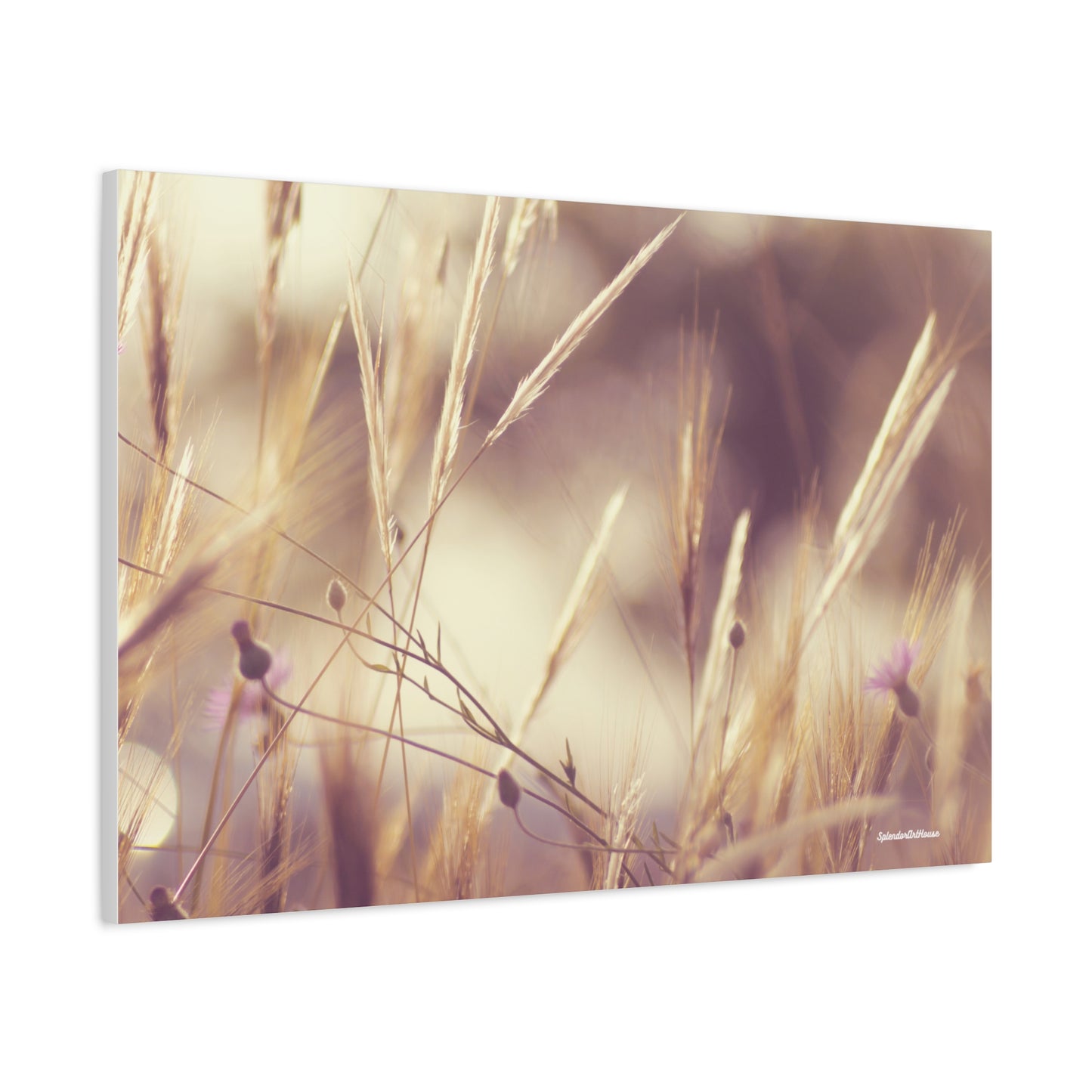 Grass, Matte Canvas, Stretched, 1.25"