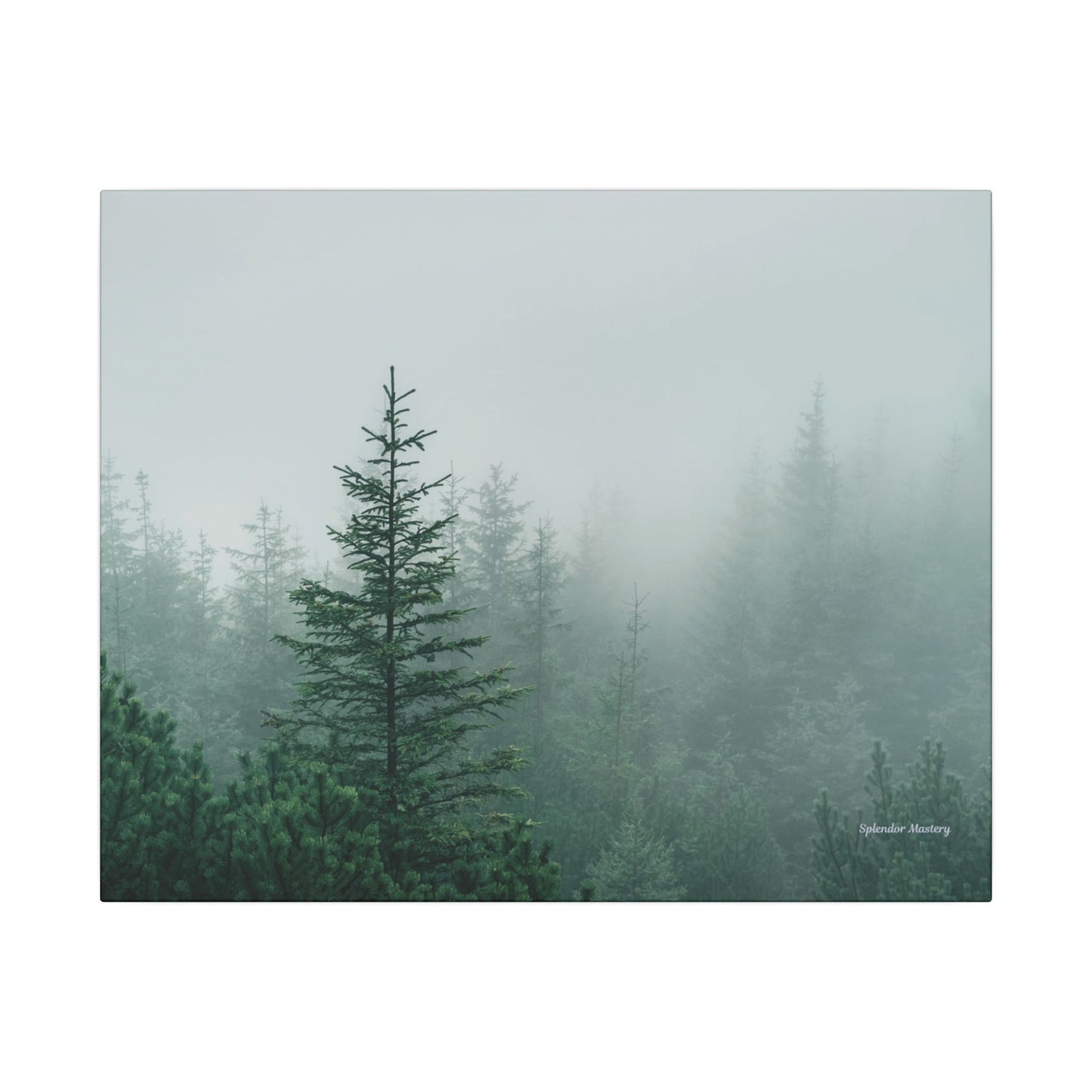 Forest Trees, Matte Canvas, Stretched, 0.75"