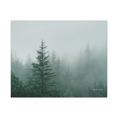 Forest Trees, Matte Canvas, Stretched, 0.75"