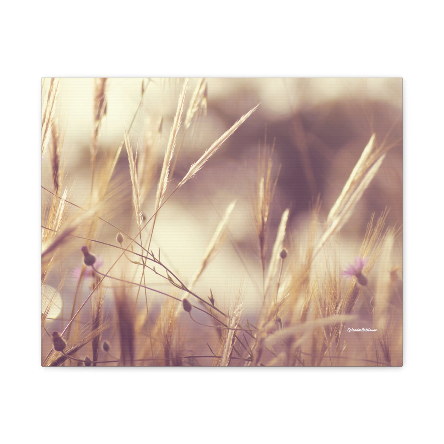 Grass, Matte Canvas, Stretched, 1.25"