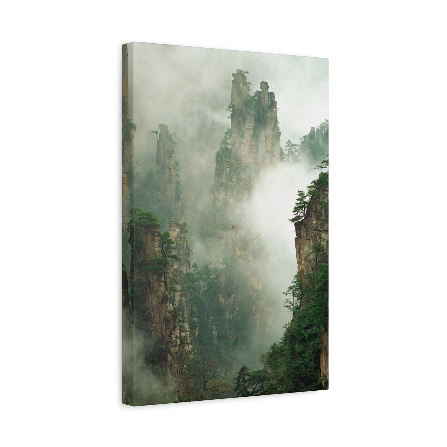 Forest, Matte Canvas, Stretched, 1.25"