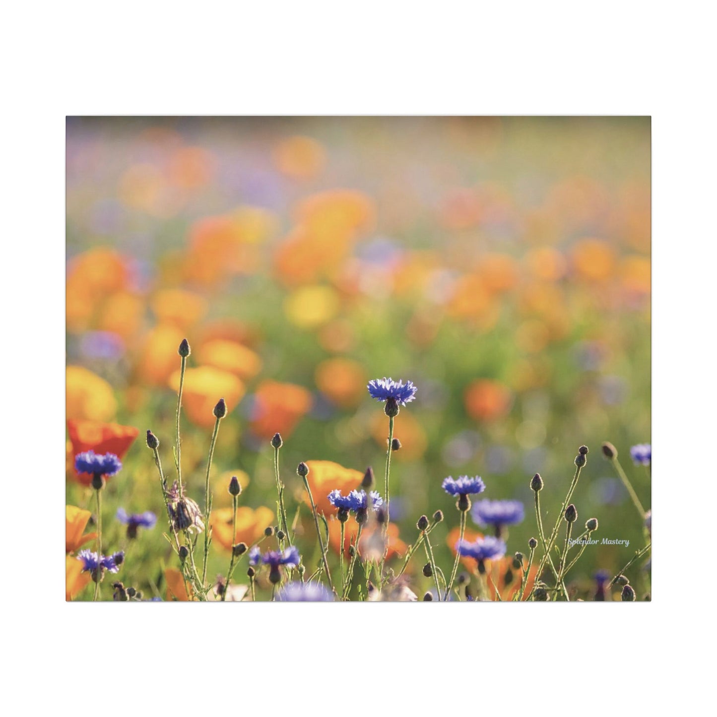 Floral, Matte Canvas, Stretched, 0.75"