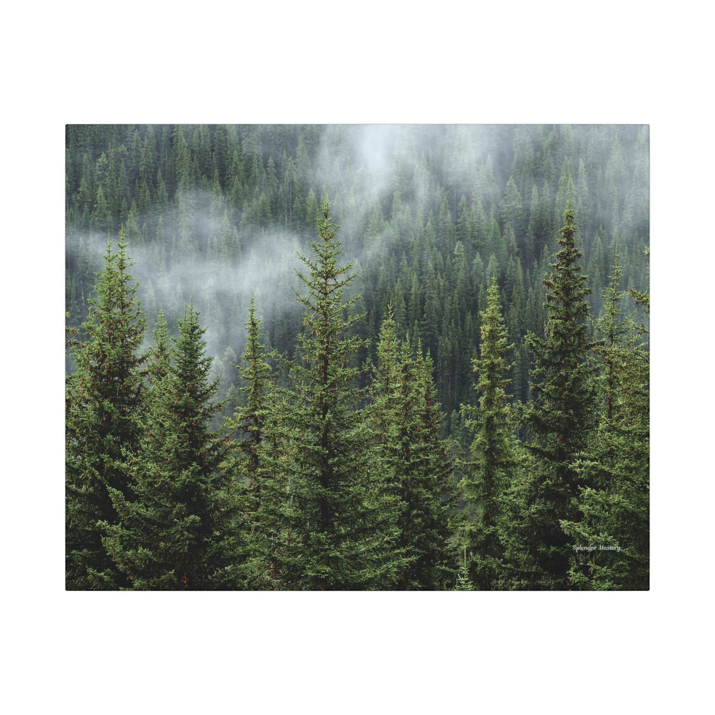 Trees, Matte Canvas, Stretched, 0.75"