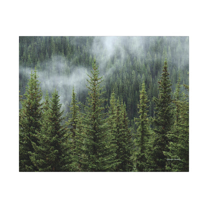 Trees, Matte Canvas, Stretched, 0.75"