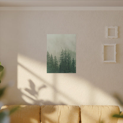 Forest Trees, Matte Canvas, Stretched, 0.75"