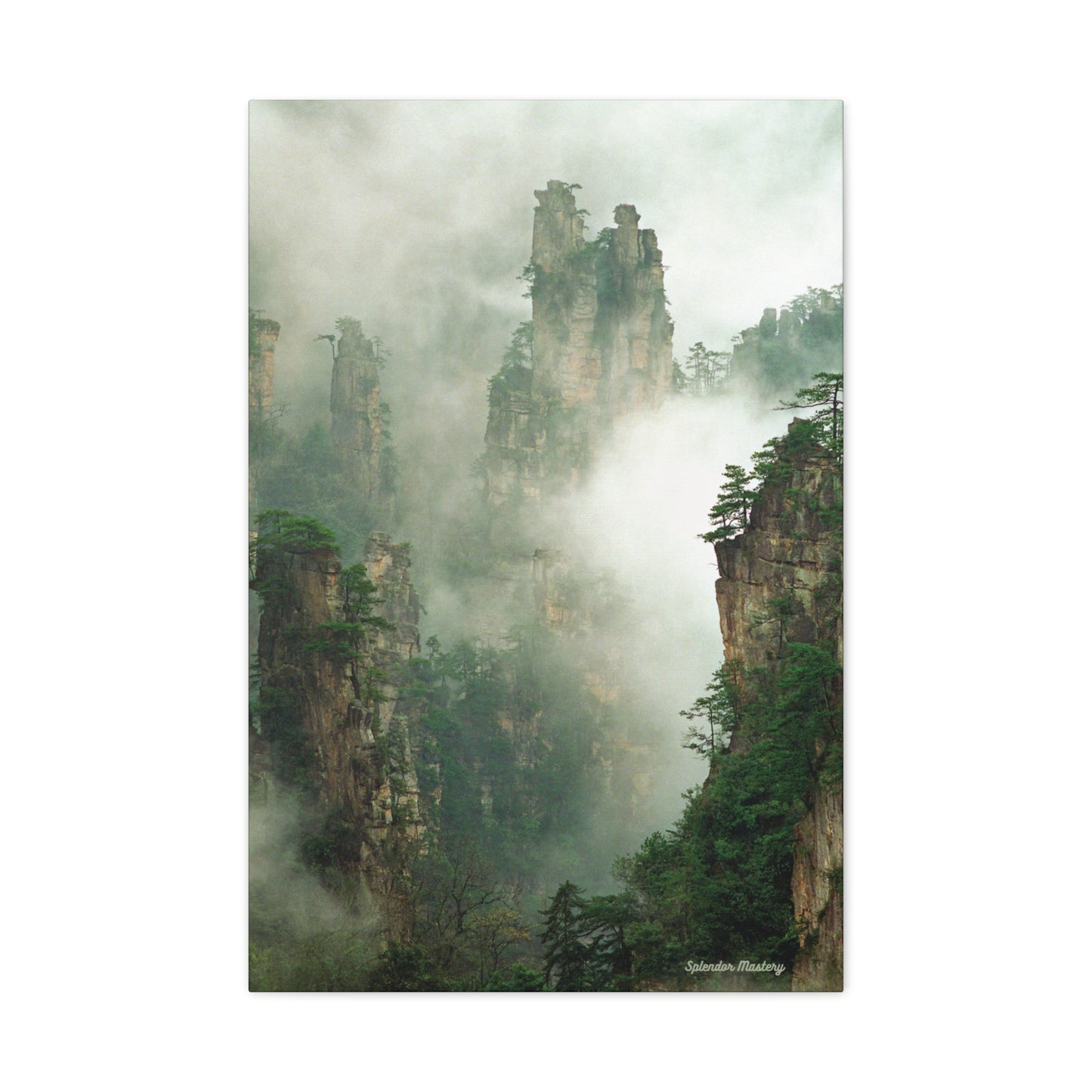 Forest, Matte Canvas, Stretched, 1.25"