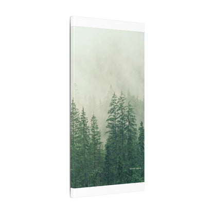 Forest Trees, Matte Canvas, Stretched, 0.75"
