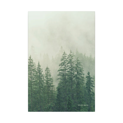 Forest Trees, Matte Canvas, Stretched, 0.75"