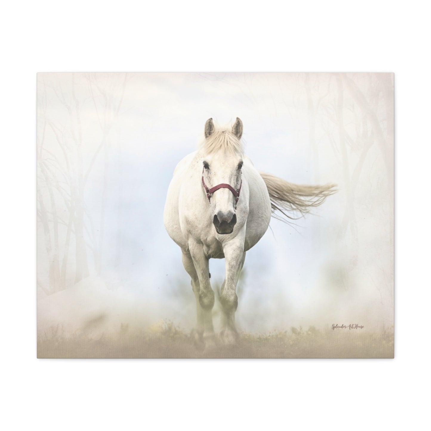 Horse, Matte Canvas, Stretched, 1.25"