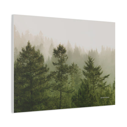 Forest, Matte Canvas, Stretched, 1.25"