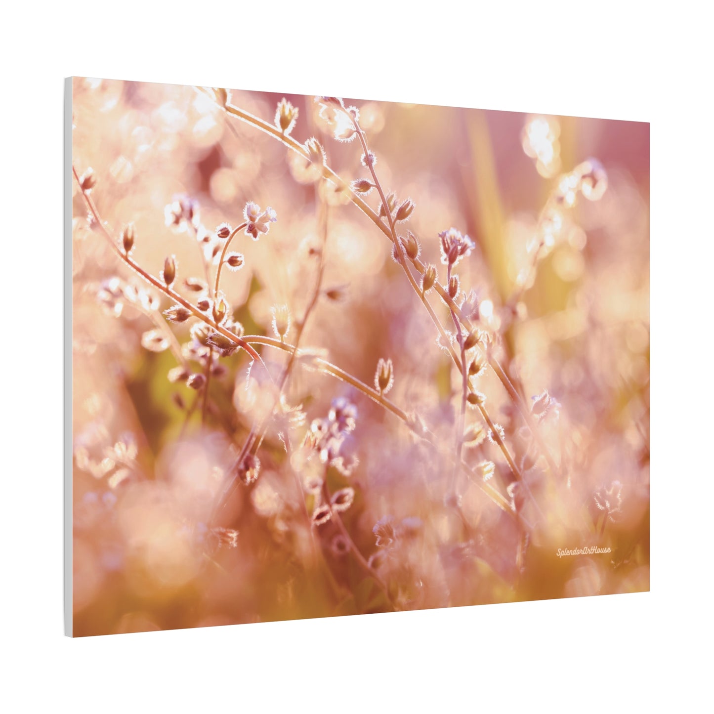 Floral, Matte Canvas, Stretched, 1.25"