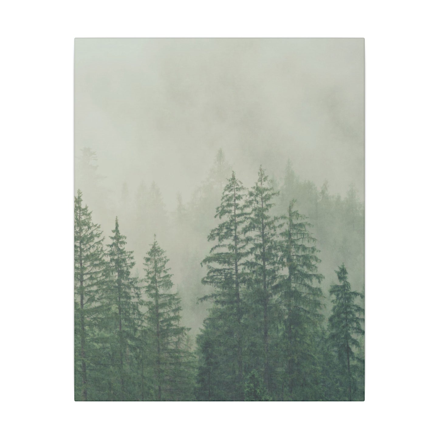 Forest Trees, Matte Canvas, Stretched, 0.75"