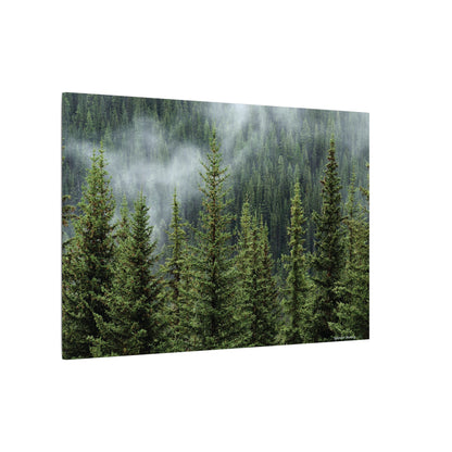 Trees, Matte Canvas, Stretched, 0.75"