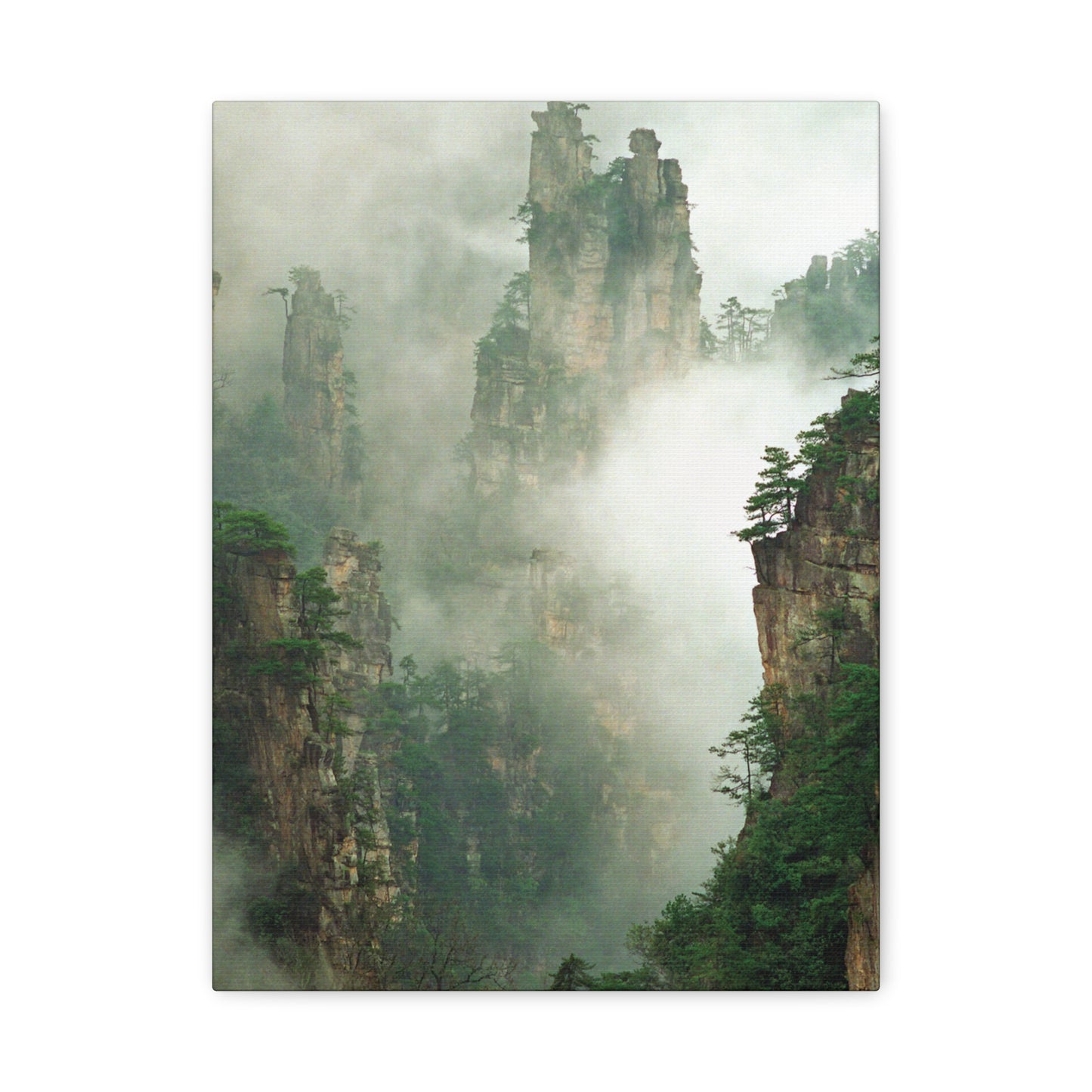 Forest, Matte Canvas, Stretched, 1.25"