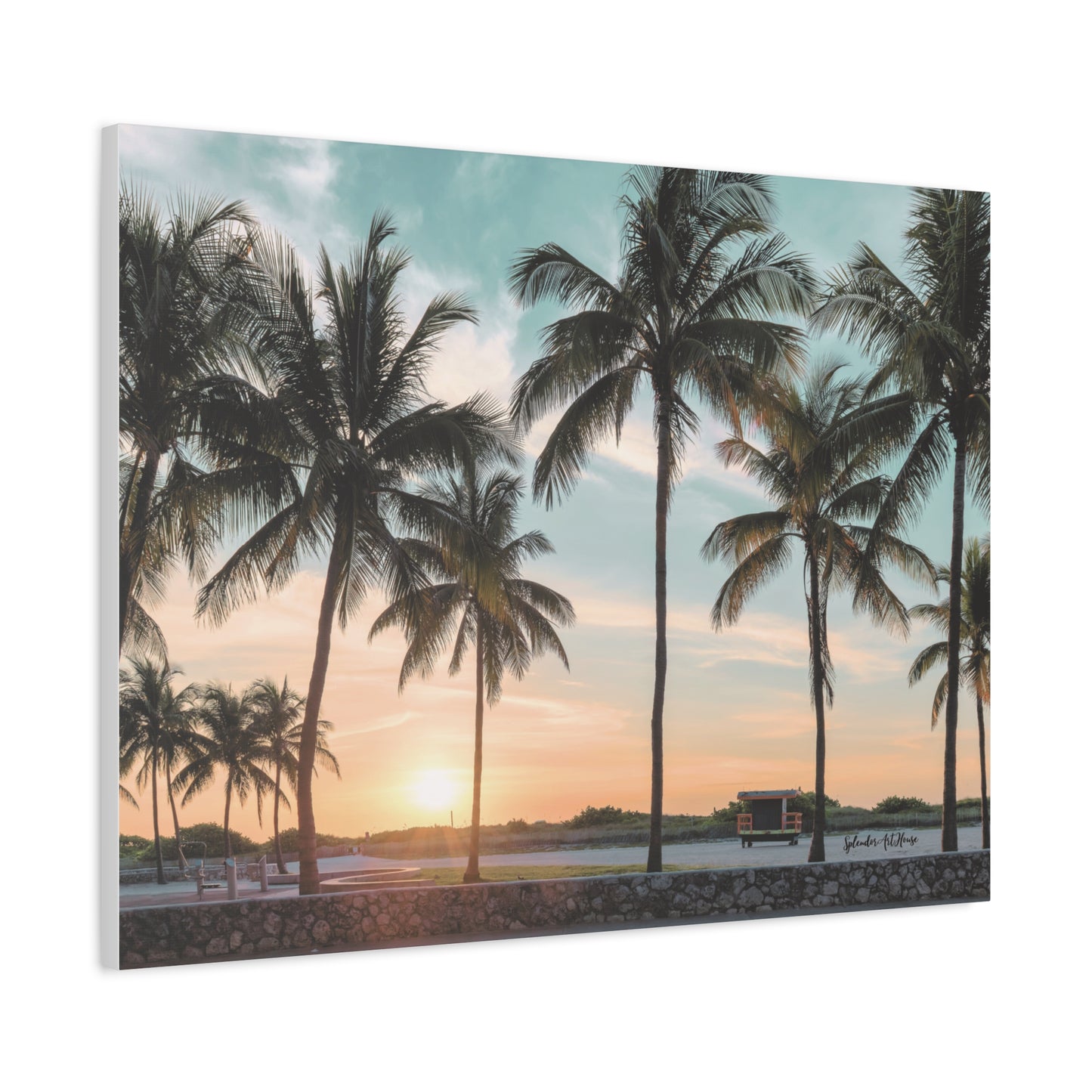 Palm Trees, Matte Canvas, Stretched, 1.25"