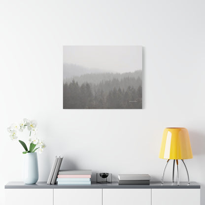 Forest, Matte Canvas, Stretched, 1.25"