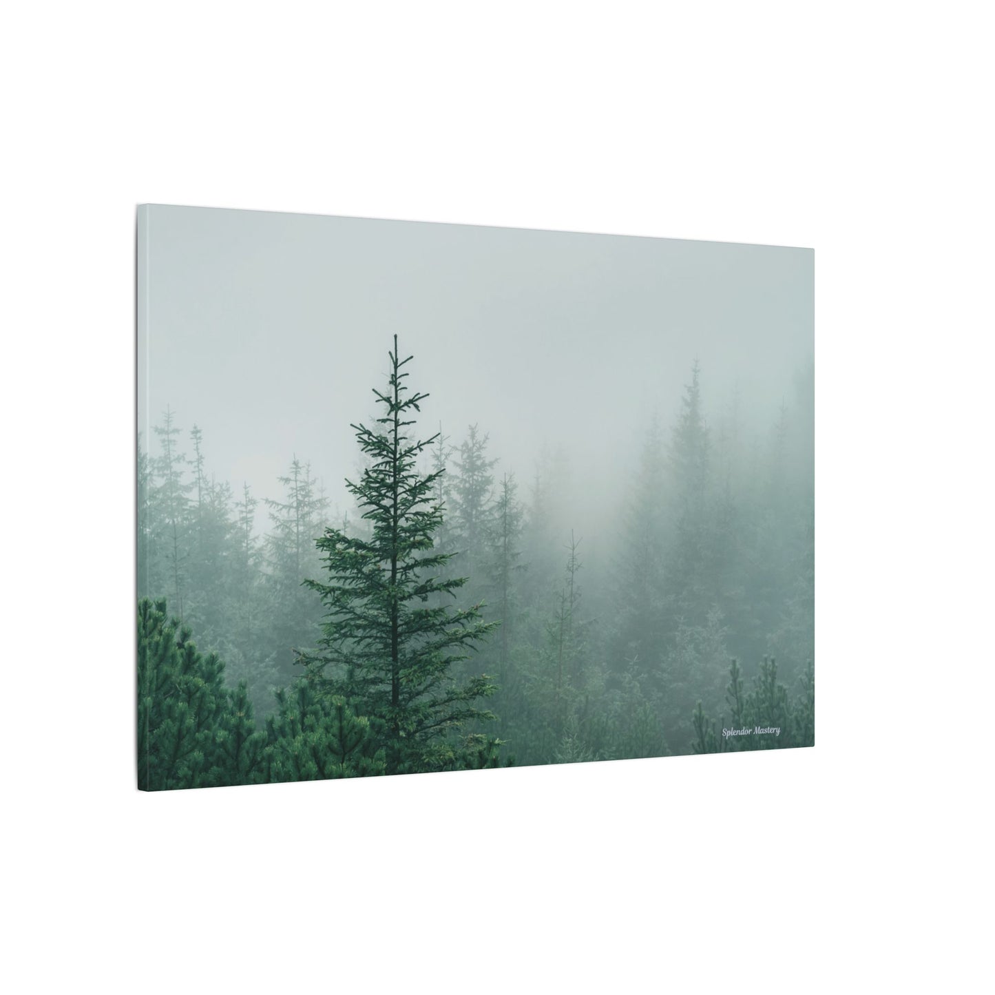 Forest Trees, Matte Canvas, Stretched, 0.75"