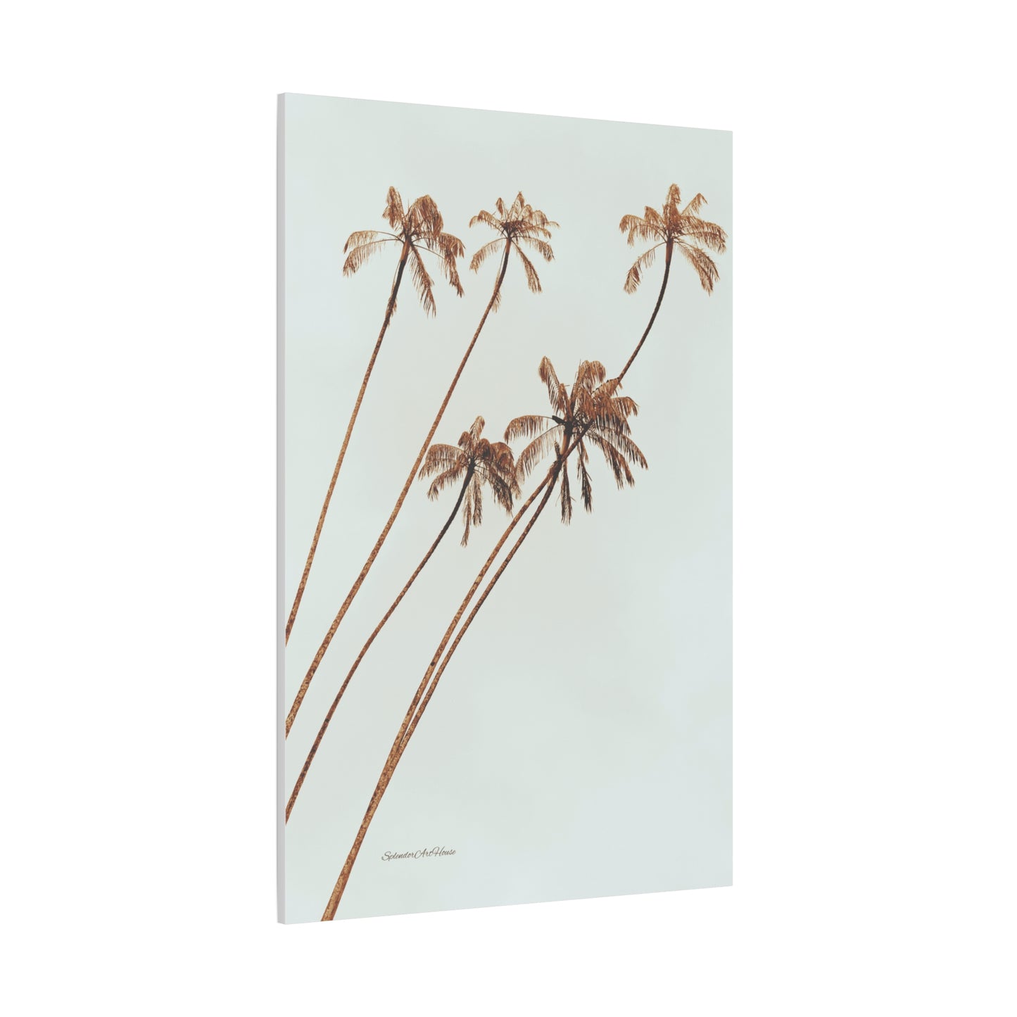 Palm Tree, Matte Canvas, Stretched, 1.25"