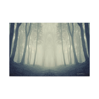 Forest, Matte Canvas, Stretched, 1.25"