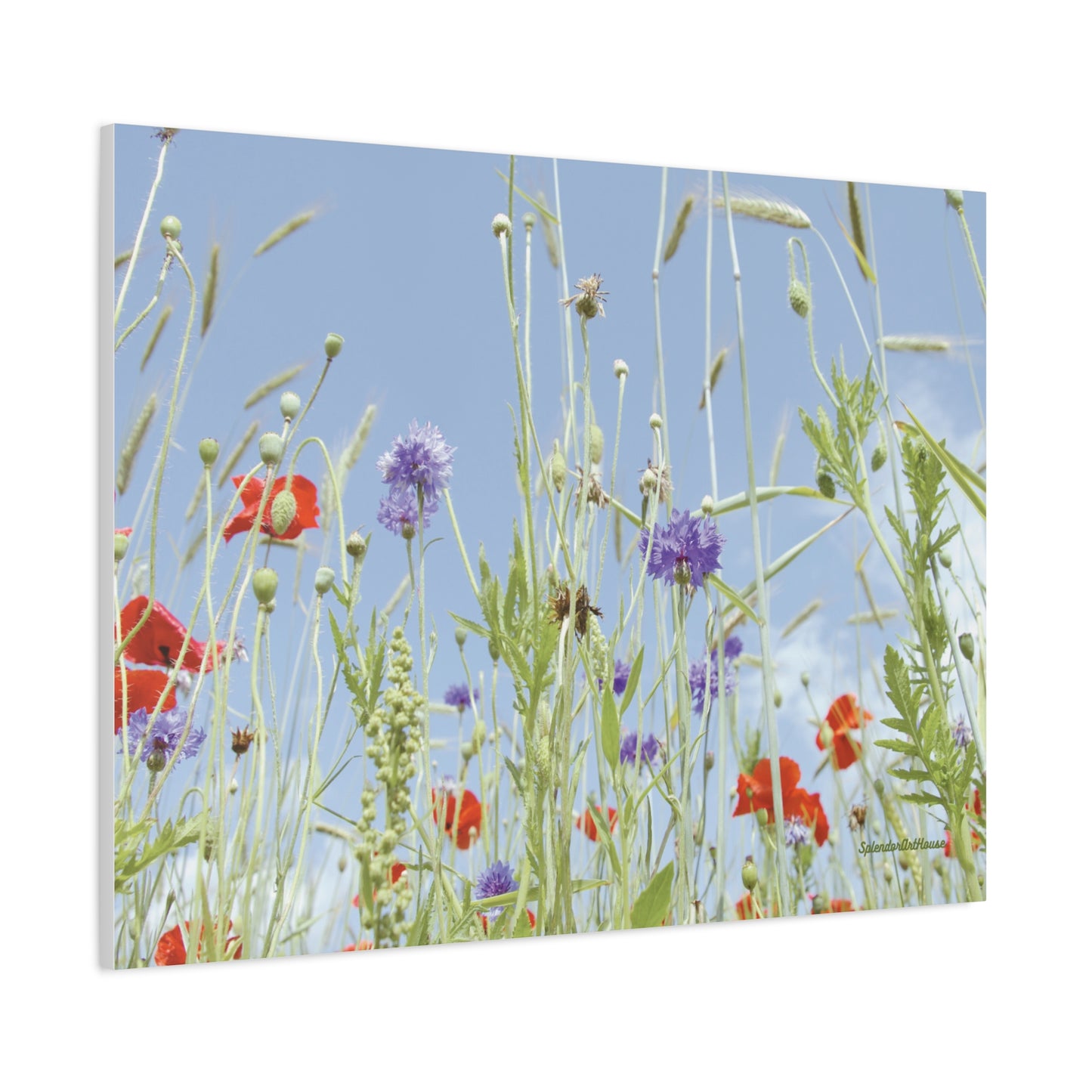 Floral, Matte Canvas, Stretched, 1.25"