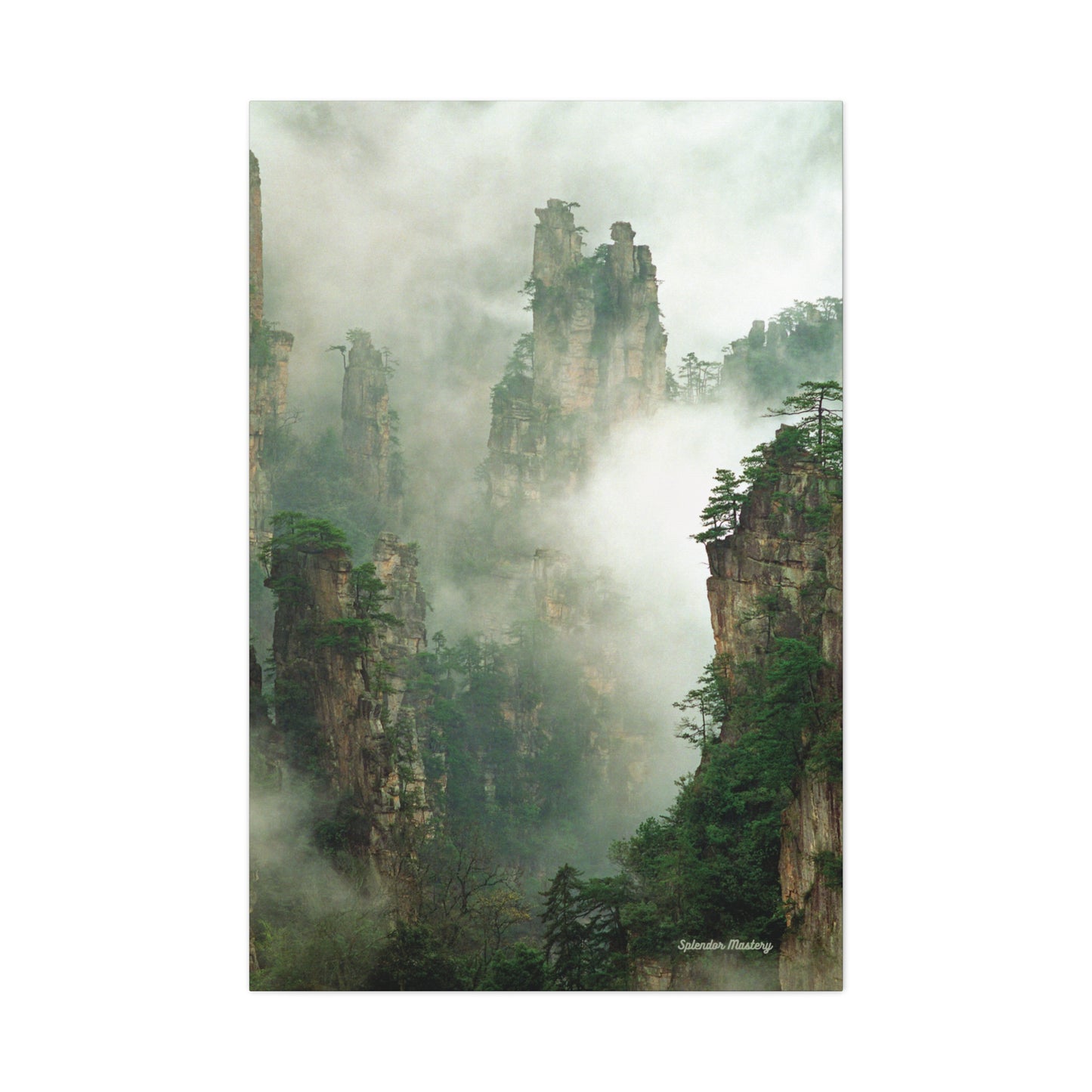 Forest, Matte Canvas, Stretched, 1.25"