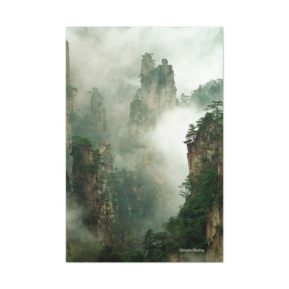 Forest, Matte Canvas, Stretched, 1.25"