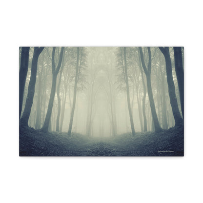 Forest, Matte Canvas, Stretched, 1.25"