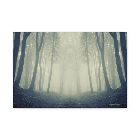 Forest, Matte Canvas, Stretched, 1.25"