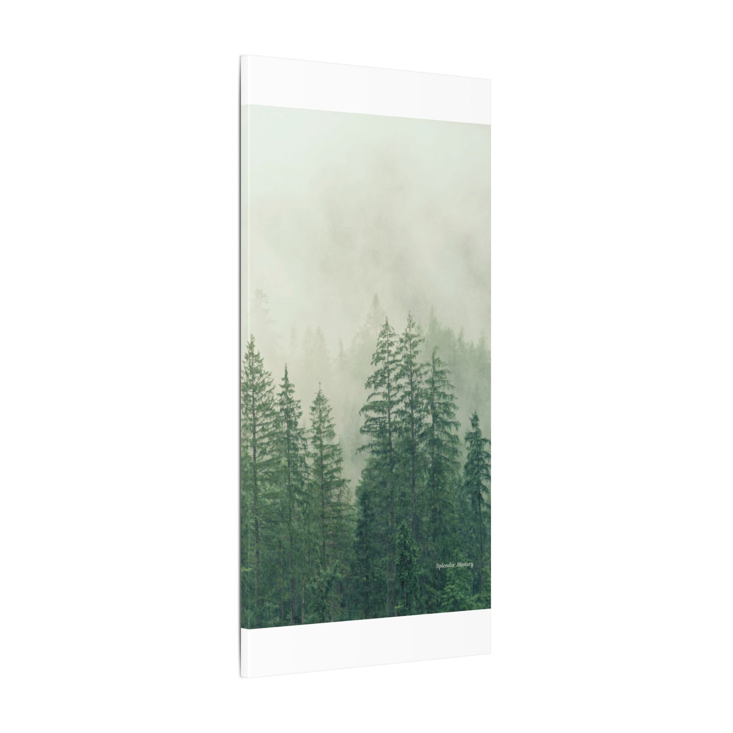Forest Trees, Matte Canvas, Stretched, 0.75"