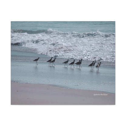Birds, Matte Canvas, Stretched, 1.25"