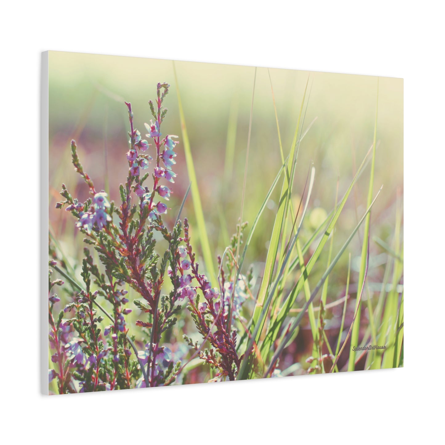 Floral, Matte Canvas, Stretched, 1.25"