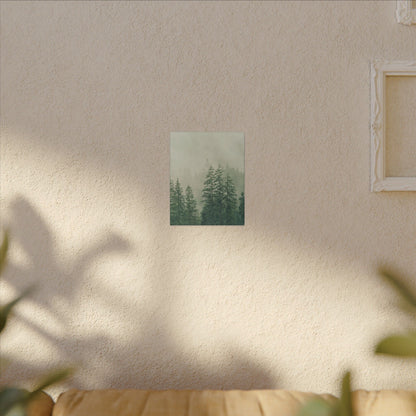 Forest Trees, Matte Canvas, Stretched, 0.75"