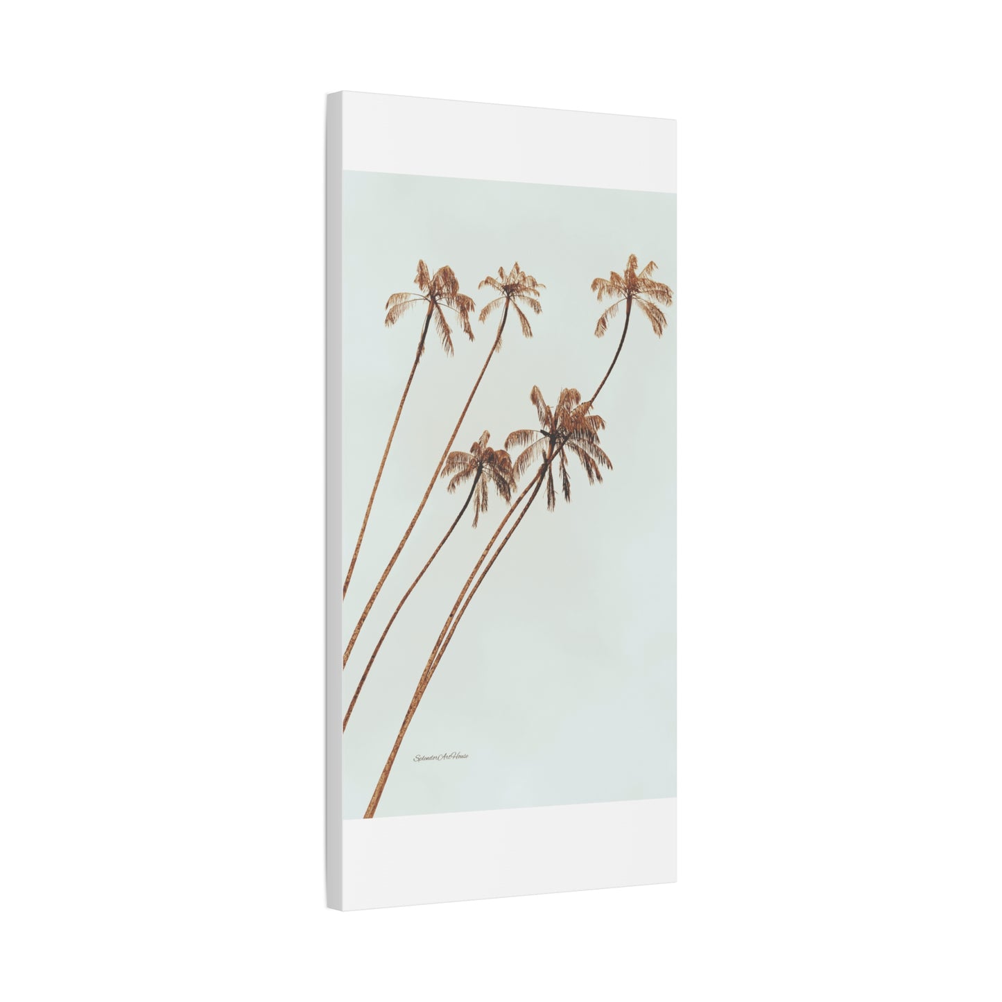 Palm Tree, Matte Canvas, Stretched, 1.25"