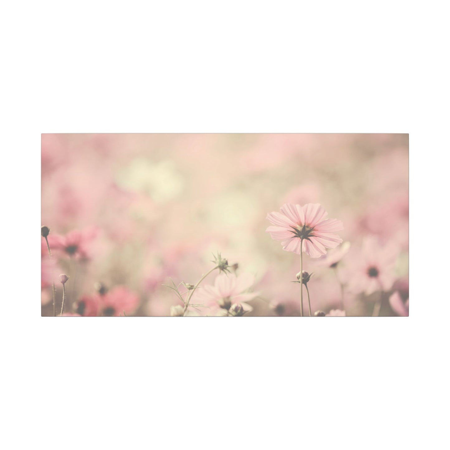 Floral, Matte Canvas, Stretched, 0.75"