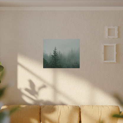 Forest Trees, Matte Canvas, Stretched, 0.75"