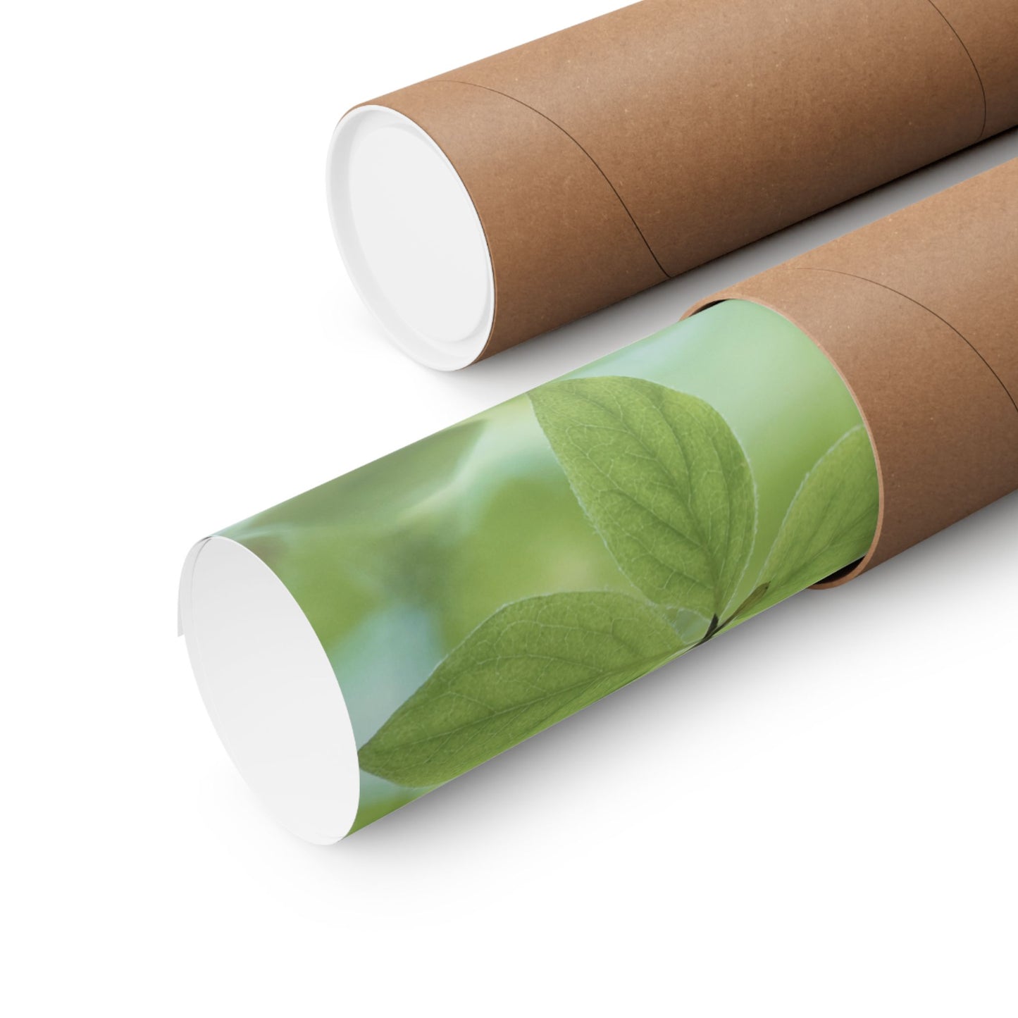 Inspirational, Matte Horizontal Poster