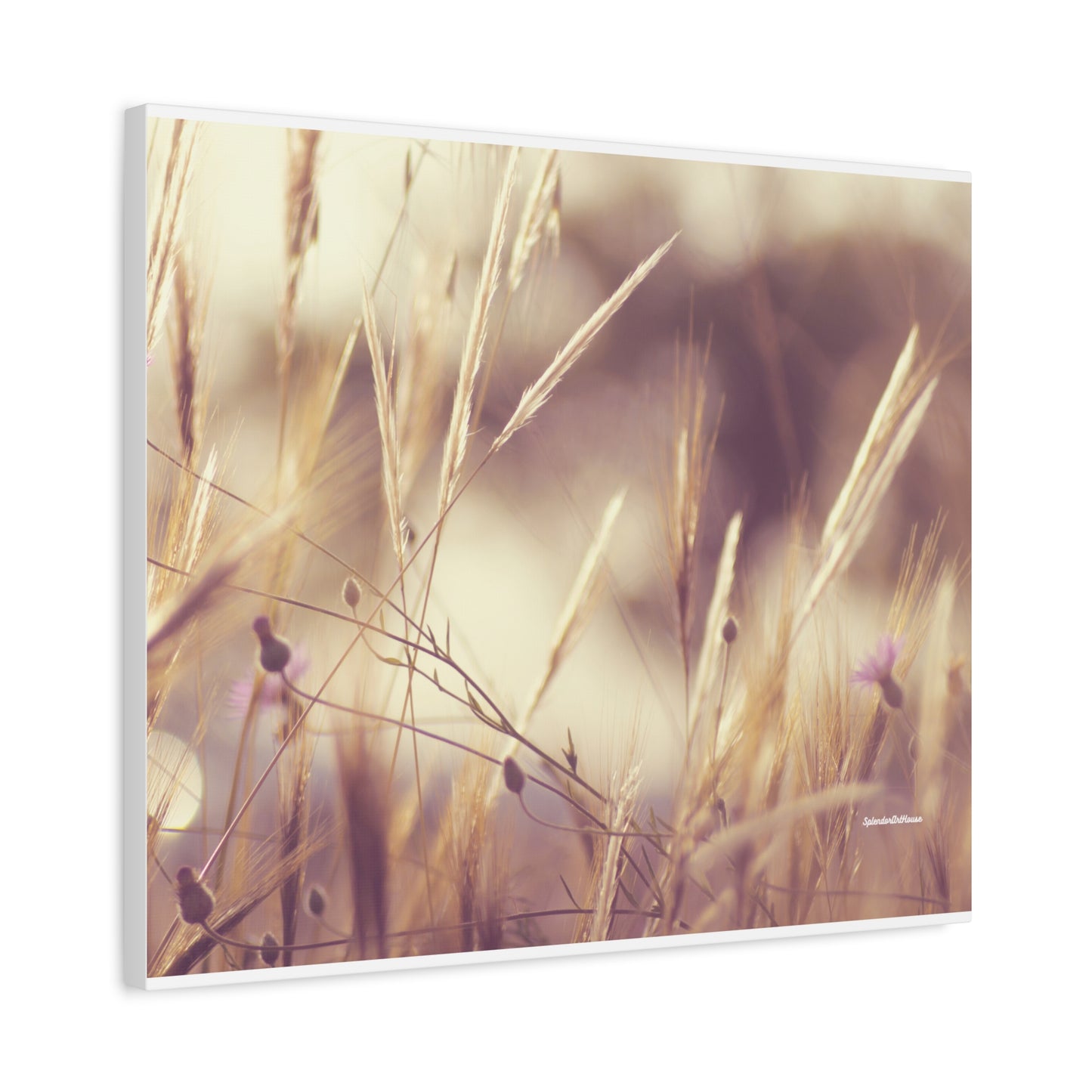 Grass, Matte Canvas, Stretched, 1.25"