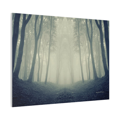 Forest, Matte Canvas, Stretched, 1.25"