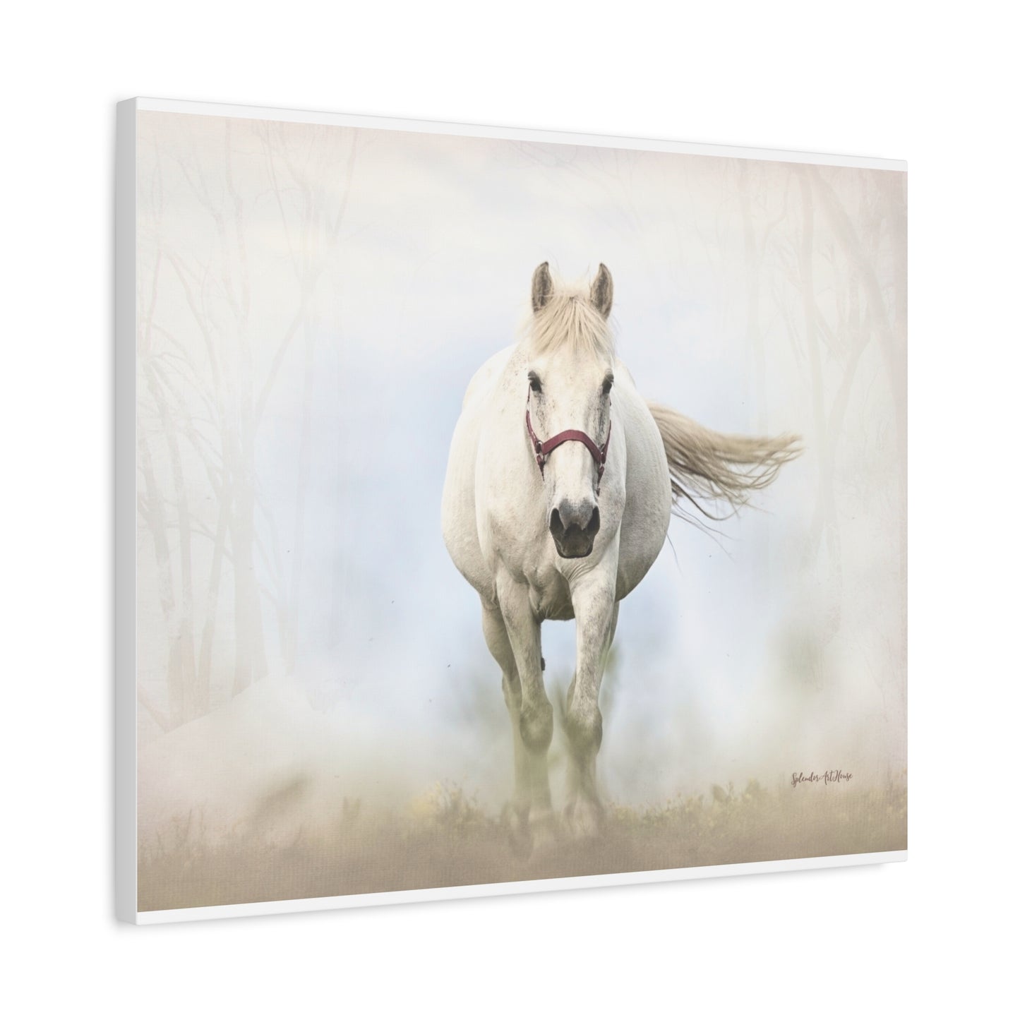 Horse, Matte Canvas, Stretched, 1.25"