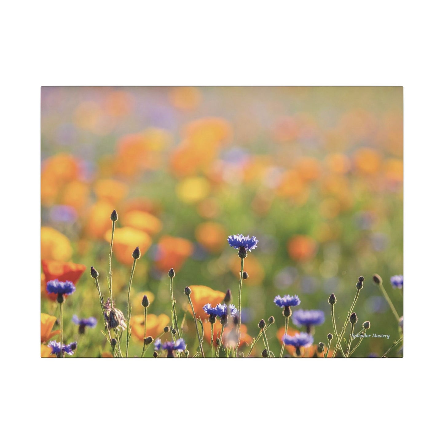 Floral, Matte Canvas, Stretched, 0.75"